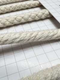 HC-1006 Cordoncino A Spirale In Cotone M[Cavo A Nastro] Nessun Nome Sottofoto