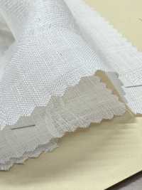 A-5077 L-100% Jacquard[Tessile / Tessuto] ARINOBE Sottofoto