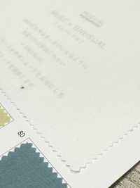 BD4595 Lavaggio Banshu Vintage Strong Down Proof[Tessile / Tessuto] COSMO TEXTILE Sottofoto