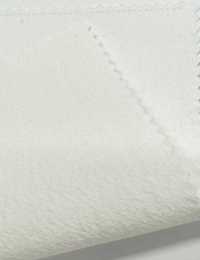 BD4595 Lavaggio Banshu Vintage Strong Down Proof[Tessile / Tessuto] COSMO TEXTILE Sottofoto