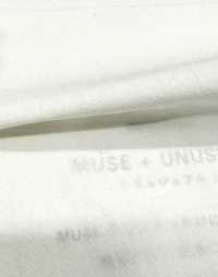 BD4595 Lavaggio Banshu Vintage Strong Down Proof[Tessile / Tessuto] COSMO TEXTILE Sottofoto