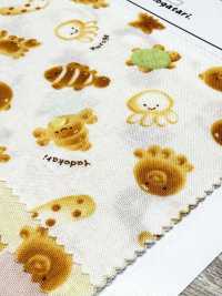 AP61208-DR Nunomonogatari Loomstate (Piegato A Metà)[Tessile / Tessuto] COSMO TEXTILE Sottofoto