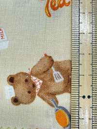 AP61208-DR Nunomonogatari Loomstate (Piegato A Metà)[Tessile / Tessuto] COSMO TEXTILE Sottofoto