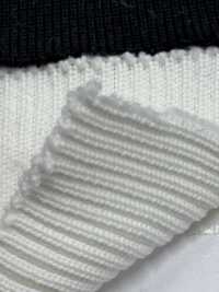 R1555 Filato A Coste 5 Capi 2x1 60 Cm Di Larghezza[Maglia A Coste] TAKENAKA CORPORATION Sottofoto