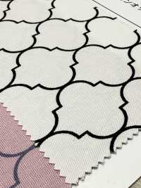 SP5500 Oxford Marocchino (Rotondo)[Tessile / Tessuto] COSMO TEXTILE Sottofoto