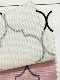 SP5500-DR Oxford Marocchina (Piegata A Metà)[Tessile / Tessuto] COSMO TEXTILE Sottofoto