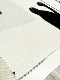 AP52101-DR Kuroneko Oxford (Piegato A Metà)[Tessile / Tessuto] COSMO TEXTILE Sottofoto