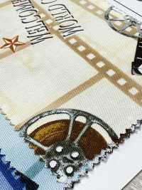 AP55201-DR Cinefabric Oxford (Piegato A Metà)[Tessile / Tessuto] COSMO TEXTILE Sottofoto