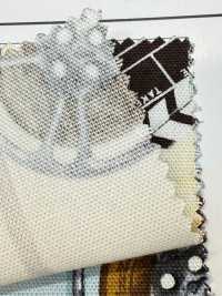 AP55201-DR Cinefabric Oxford (Piegato A Metà)[Tessile / Tessuto] COSMO TEXTILE Sottofoto