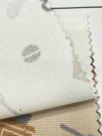 AP55110-DR Tea Time Oxford (Piegato A Metà)[Tessile / Tessuto] COSMO TEXTILE Sottofoto