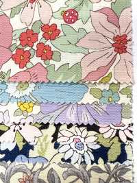 AP55808 Essential Grace 2 Oxford (Rotondo)[Tessile / Tessuto] COSMO TEXTILE Sottofoto