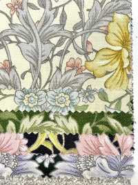 AP55808 Essential Grace 2 Oxford (Rotondo)[Tessile / Tessuto] COSMO TEXTILE Sottofoto