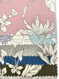 AP55808-DR Essential Grace 2 Oxford (Piegato A Metà)[Tessile / Tessuto] COSMO TEXTILE Sottofoto