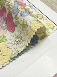 AP55808-DR Essential Grace 2 Oxford (Piegato A Metà)[Tessile / Tessuto] COSMO TEXTILE Sottofoto