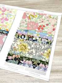 AP55808-DR Essential Grace 2 Oxford (Piegato A Metà)[Tessile / Tessuto] COSMO TEXTILE Sottofoto