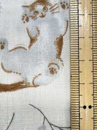 AP55205 Doppia Garza Pastello Animale (Rotonda)[Tessile / Tessuto] COSMO TEXTILE Sottofoto