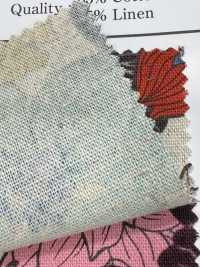 AP55803 Tela Floreale C/L (Rotolo)[Tessile / Tessuto] COSMO TEXTILE Sottofoto