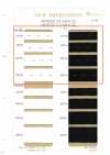 HW-9020 Fascia Elastica Comet B/H