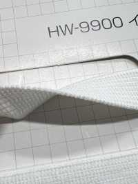 HW-9900 Fascia Elastica Interna Della Cintura Nessun Nome Sottofoto