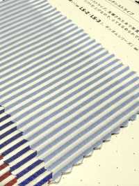 LS-1 60/1 Strisce Di Londra[Tessile / Tessuto] Tessuto Kuwamura Sottofoto