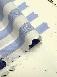 LS-3 60/1 Strisce Di Londra[Tessile / Tessuto] Tessuto Kuwamura Sottofoto