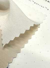 1830 Tessuto In Fibra Modale Poly-Tencel™[Tessile / Tessuto] Tessuto Kuwamura Sottofoto