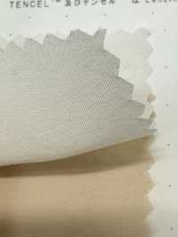 1830 Tessuto In Fibra Modale Poly-Tencel™[Tessile / Tessuto] Tessuto Kuwamura Sottofoto