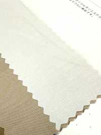 SBT-003 Organico ECO Senza Motivo[Tessile / Tessuto] Tessuto Kuwamura Sottofoto