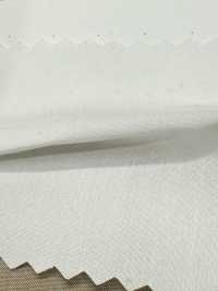 SBT-003 Organico ECO Senza Motivo[Tessile / Tessuto] Tessuto Kuwamura Sottofoto