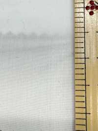 SBT-003 Organico ECO Senza Motivo[Tessile / Tessuto] Tessuto Kuwamura Sottofoto