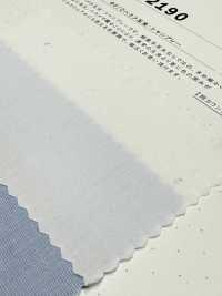 2190 80/2 Fine Alla Fine Tamamushi Chambray[Tessile / Tessuto] Tessuto Kuwamura Sottofoto