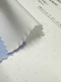 2190 80/2 Fine Alla Fine Tamamushi Chambray[Tessile / Tessuto] Tessuto Kuwamura Sottofoto