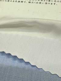 2190 80/2 Fine Alla Fine Tamamushi Chambray[Tessile / Tessuto] Tessuto Kuwamura Sottofoto