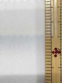2190 80/2 Fine Alla Fine Tamamushi Chambray[Tessile / Tessuto] Tessuto Kuwamura Sottofoto