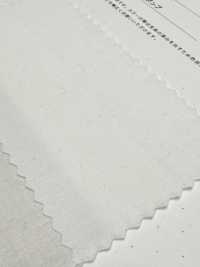 2030 40/1 Lino A Prova Di Piumino[Tessile / Tessuto] Tessuto Kuwamura Sottofoto