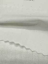 2030 40/1 Lino A Prova Di Piumino[Tessile / Tessuto] Tessuto Kuwamura Sottofoto