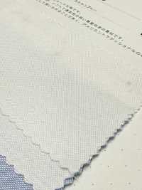 2050 Oxford Chambray[Tessile / Tessuto] Tessuto Kuwamura Sottofoto