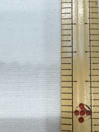 2110 Maglia Circolare Ad Alto Numero Di Maglie Interlock In Twill[Tessile / Tessuto] Tessuto Kuwamura Sottofoto