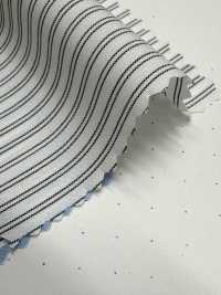 SBT-015 Striscia ECO[Tessile / Tessuto] Tessuto Kuwamura Sottofoto