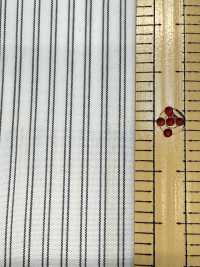 SBT-015 Striscia ECO[Tessile / Tessuto] Tessuto Kuwamura Sottofoto