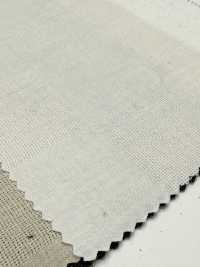 CHL-6341 Lino Panama Block Check[Tessile / Tessuto] Tessuto Kuwamura Sottofoto