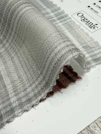 SBT-025 Doppia Garza Organica[Tessile / Tessuto] Tessuto Kuwamura Sottofoto