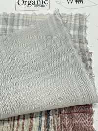 SBT-025 Doppia Garza Organica[Tessile / Tessuto] Tessuto Kuwamura Sottofoto