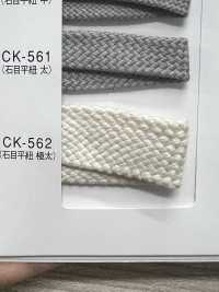 CK-562 Cordino Lucido Cordino Piatto Effetto Pietra Extra Spesso[Cavo A Nastro] Sottofoto