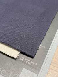 1076519TE Tessuto A Coste TERECO In Pile Pesante[Tessile / Tessuto] TAKISADA NAGOYA Sottofoto