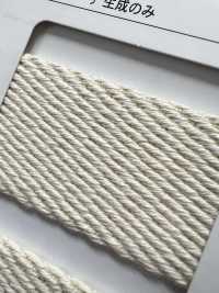 NO5502-19 Borsa In Twill Con Nastro Da Cintura[Cavo A Nastro] RIVER Sottofoto