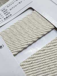 NO5502-19 Borsa In Twill Con Nastro Da Cintura[Cavo A Nastro] RIVER Sottofoto