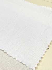 A-7039 Essiccato Al Sole (Essiccato Al Sole)[Tessile / Tessuto] ARINOBE Sottofoto