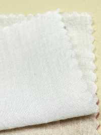 A-7039 Essiccato Al Sole (Essiccato Al Sole)[Tessile / Tessuto] ARINOBE Sottofoto