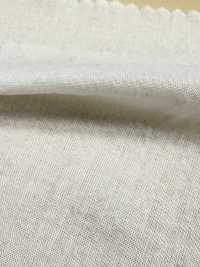 A-7039 Essiccato Al Sole (Essiccato Al Sole)[Tessile / Tessuto] ARINOBE Sottofoto